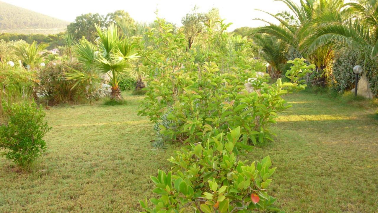 Agriturismo Isidoro Fertilia Exteriör bild